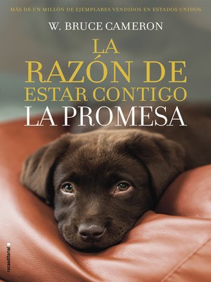 cover image of La razón de estar contigo. La promesa